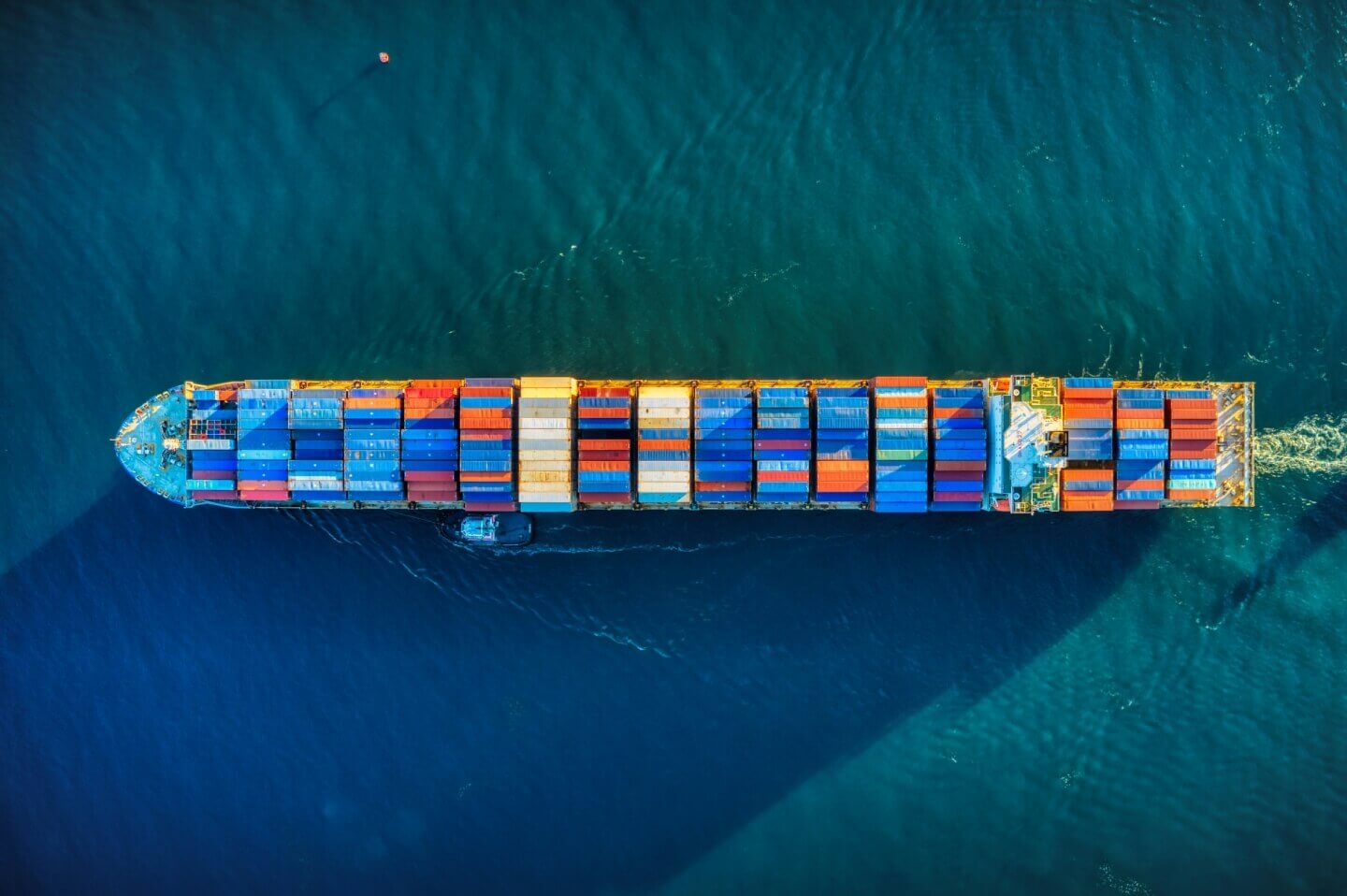 Hull Blyth Araouzos quality policy container ship
